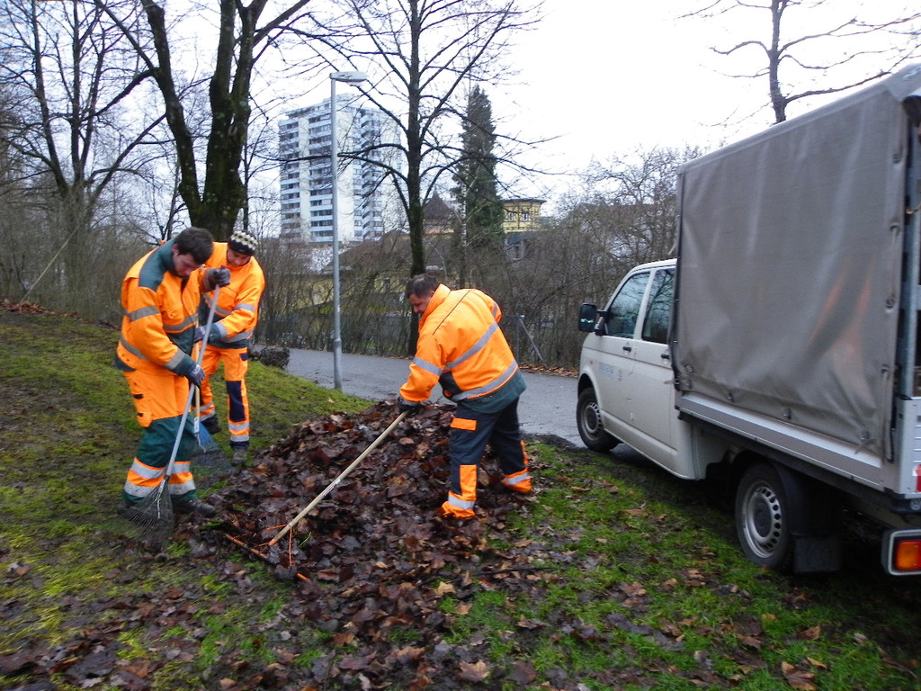 113_6716_JPG-1327710354