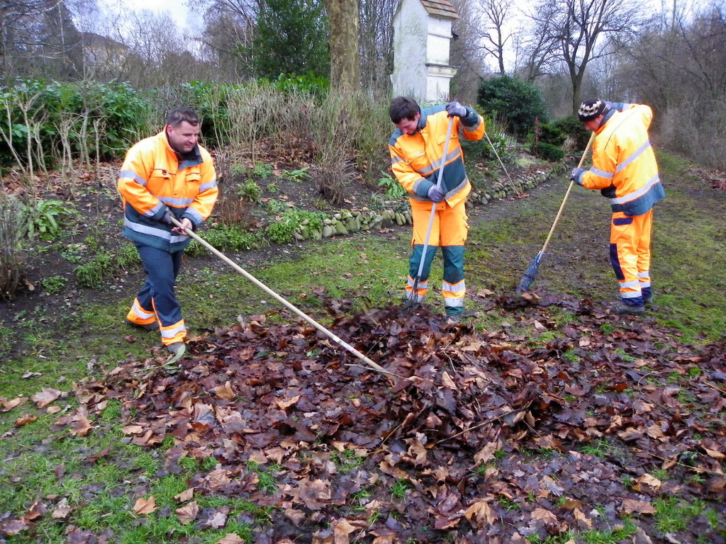 113_6705_JPG-1327710298