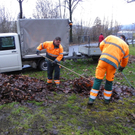 113_6715_JPG-1327710345