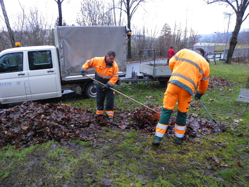 113_6715_JPG-1327710345