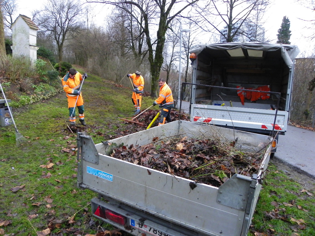 113_6718_JPG-1327710364