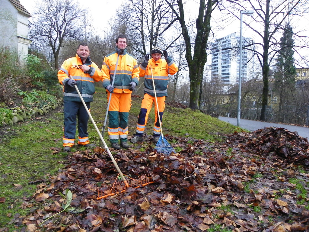 113_6703_JPG-1327710289