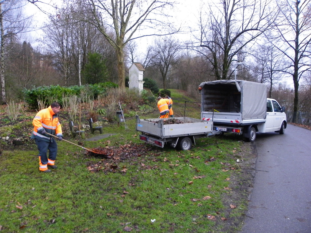 113_6719_JPG-1327710374