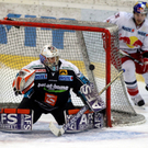 GEPA-27011212016.jpg