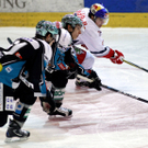 GEPA-27011212011.jpg