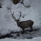 Sicherung 27_01_2012 024.jpg