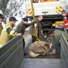 Sicherung 27_01_2012 054.jpg