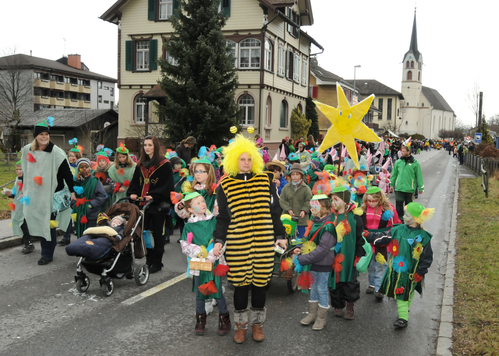 Gaissau Umzug 28_01_2012 29_jpg-1327787858
