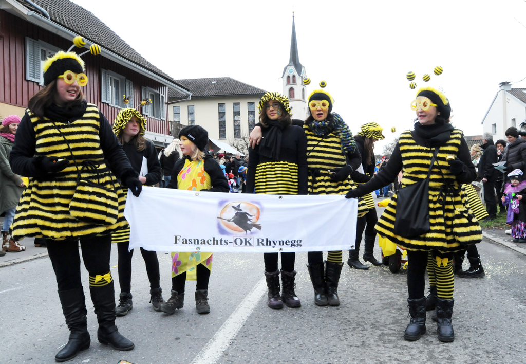 Gaissau Umzug 28_01_2012 154_jpg-1327788320