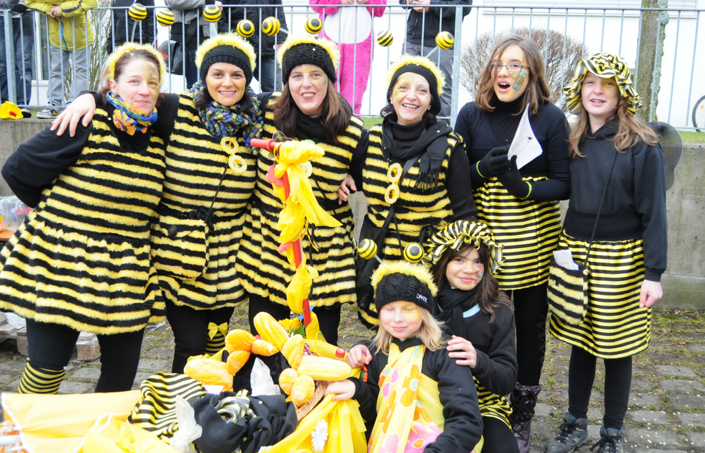 Gaissau Umzug 28_01_2012 290_jpg-1327788703
