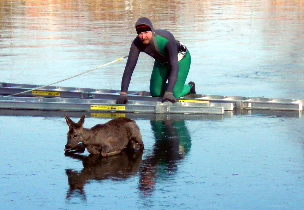 28012012_Tierrettung Bad Sauerbrunn _2_.jpg