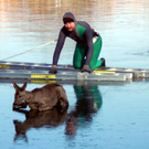 28012012_Tierrettung Bad Sauerbrunn _2_.jpg