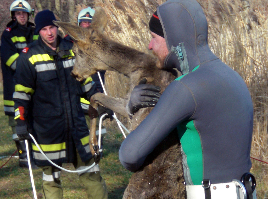 28012012_Tierrettung Bad Sauerbrunn _4_.jpg