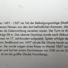 koe_Pummerin-Neujahr 14.jpg