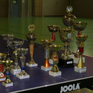 normal_29012012fmt_tischtennisfinale_ta_021.jpg