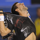 DAB2260-20120129.jpg