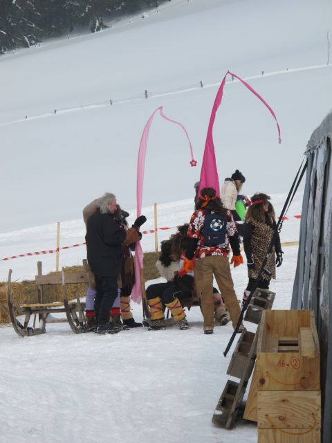normal_29012012hornschlittende01007001aktivnews_001.jpg