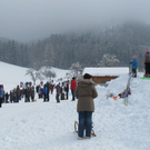 normal_29012012hornschlittende01007001aktivnews_003.jpg