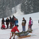 normal_29012012hornschlittende01007001aktivnews_008.jpg