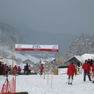 normal_29012012hornschlittende01007001aktivnews_009.jpg