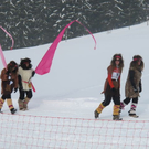 normal_29012012hornschlittende01007001aktivnews_010.jpg
