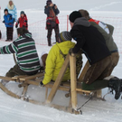 normal_29012012hornschlittende01007001aktivnews_011.jpg
