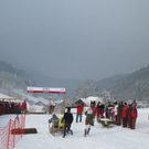 normal_29012012hornschlittende01007001aktivnews_012.jpg