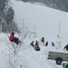 normal_29012012hornschlittende01007001aktivnews_017.jpg