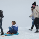 normal_29012012hornschlittende01007001aktivnews_022.jpg