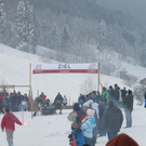 normal_29012012hornschlittende01007001aktivnews_026.jpg