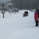 normal_29012012hornschlittende01007001aktivnews_029.jpg