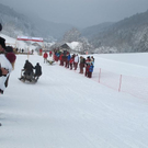 normal_29012012hornschlittende01007001aktivnews_031.jpg