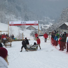 normal_29012012hornschlittende01007001aktivnews_032.jpg