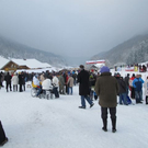 normal_29012012hornschlittende01007001aktivnews_036.jpg