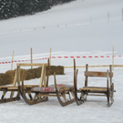 normal_29012012hornschlittende01007001aktivnews_040.jpg