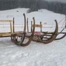 normal_29012012hornschlittende01007001aktivnews_041.jpg