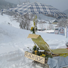 normal_29012012hornschlittende01007001aktivnews_043.jpg