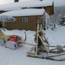 normal_29012012hornschlittende01007001aktivnews_044.jpg