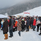 normal_29012012hornschlittende01007001aktivnews_046.jpg