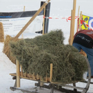 normal_29012012hornschlittende01007001aktivnews_051.jpg