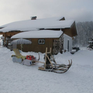 normal_29012012hornschlittende01007001aktivnews_052.jpg