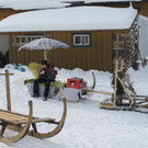 normal_29012012hornschlittende01007001aktivnews_054.jpg