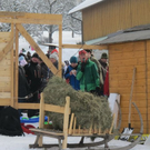 normal_29012012hornschlittende01007001aktivnews_058.jpg