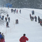 normal_29012012hornschlittende01007001aktivnews_065.jpg
