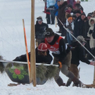 normal_29012012hornschlittende01007001aktivnews_069.jpg