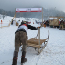 normal_29012012hornschlittende01007001aktivnews_081.jpg