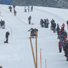 normal_29012012hornschlittende01007001aktivnews_083.jpg