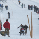 normal_29012012hornschlittende01007001aktivnews_085.jpg