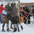 normal_29012012hornschlittende01007001aktivnews_090.jpg