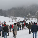 normal_29012012hornschlittende01007001aktivnews_093.jpg